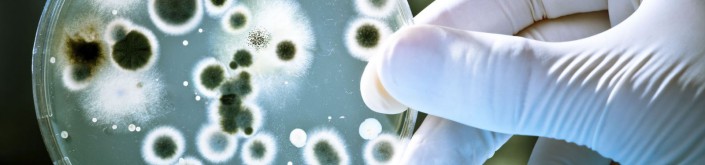 Biological substances, moulds, bacteria